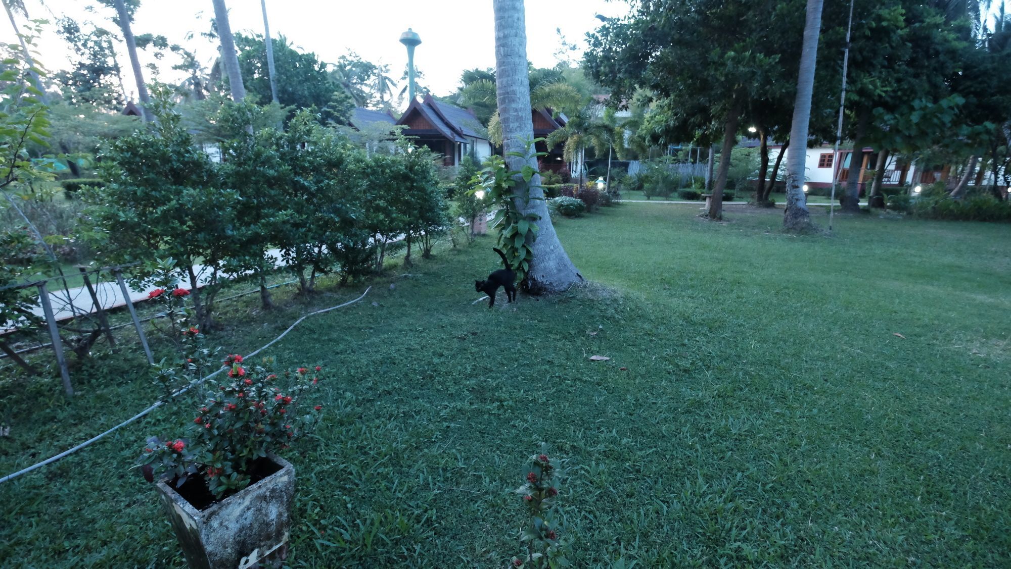 Rasa Sayang Resort - Sha Certificate Ko Lanta Buitenkant foto